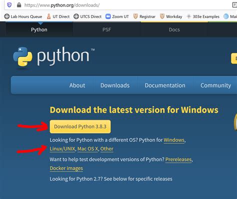 pwetan downloader|Download Python .